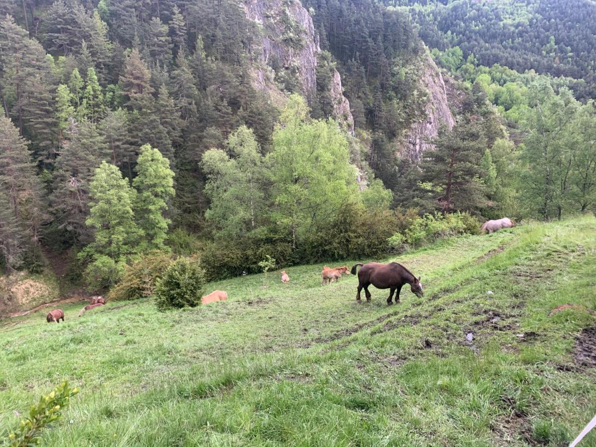 Siscaro - Peu Del Riu 310 - Vall D'Incles - Soldeu公寓 外观 照片