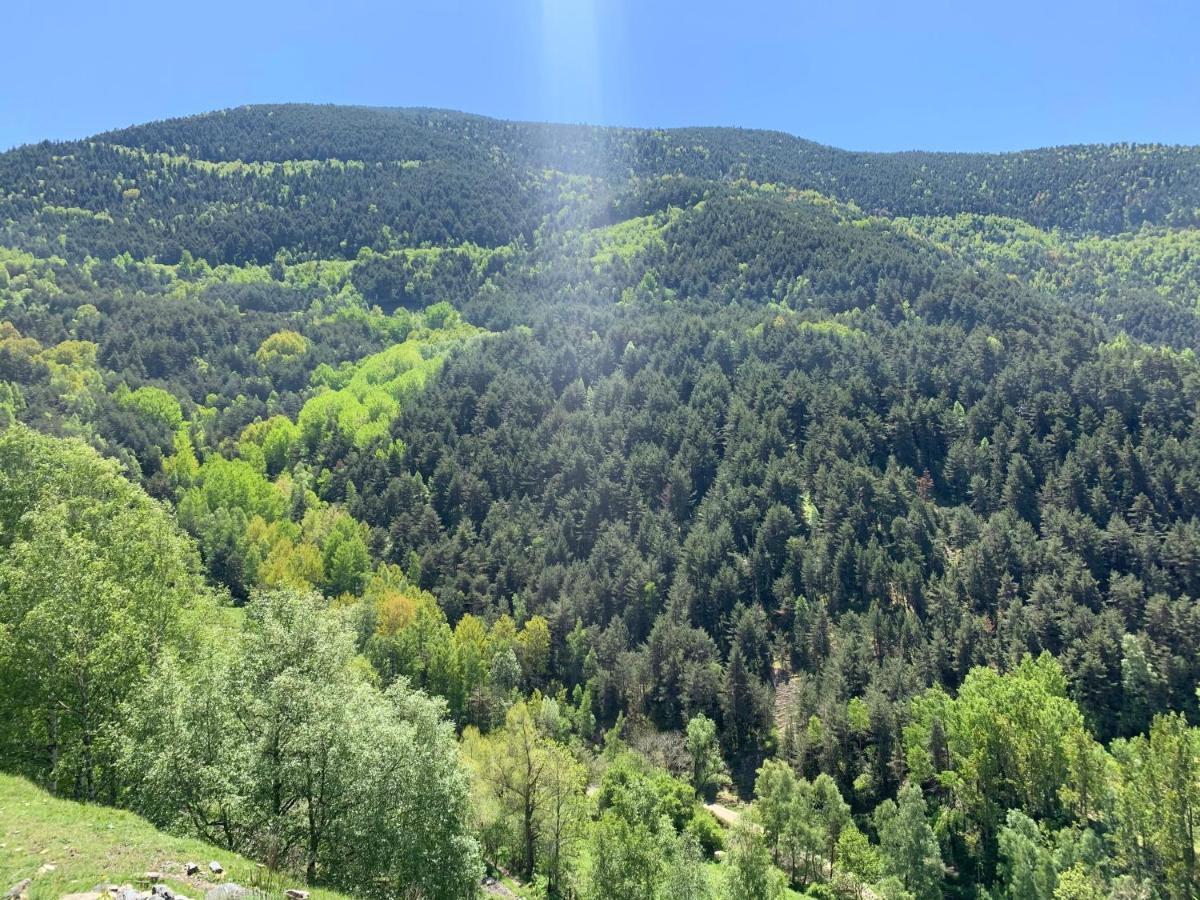 Siscaro - Peu Del Riu 310 - Vall D'Incles - Soldeu公寓 外观 照片